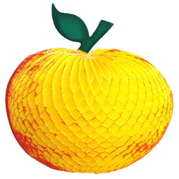 FRUTA NARANJA
